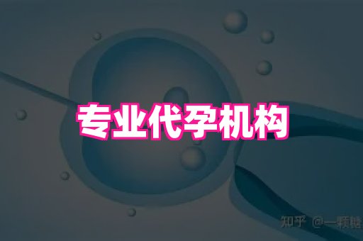 武汉助孕网站 1